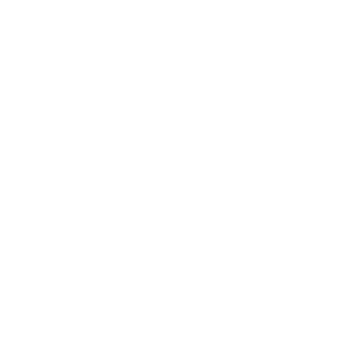12941-EMS-001.png